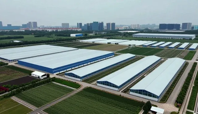 本地生活服务中网络性能的优化策略与适用场景分析